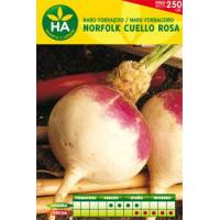 Semillas de nabo cuello rosa en caja de 250 gramos