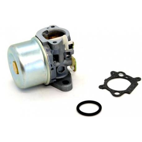 Carburador para motor Briggs & Stratton 499059 497586