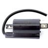 Bobina de encendido cortac&eacute;sped Kawasaki John Deere AM120732 KAF620