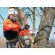 MOTOSIERRA DE PODA DOLMAR PS3410TH 1,9CV 34C.C ESPADIN 25CM
