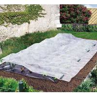 Velo de crecimiento para huerto Climatex 2 x 5 m