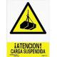 Señal PVC Precaución carga suspendida 30 x 40 cm