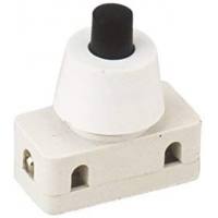 Interruptor DH 2A/250V (10 UND).