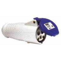 Prolongador 2P+T 32A IP44 Cetact