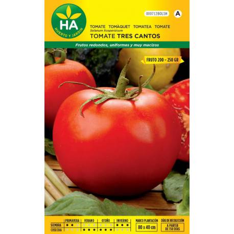 Semillas de tomate tipo tres cantos