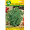 Semillas de albahaca hoja fina