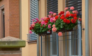 Soportes de colgar para balcones provistos de barandilla metálica.