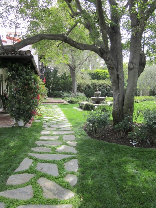 Hacer Un Camino De Piedras En El Jardin
