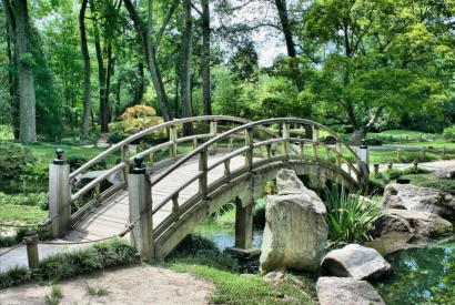 Los mejores arbustos para un jardín pequeño