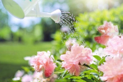 ¿Cómo funciona un distribuidor automático de agua?