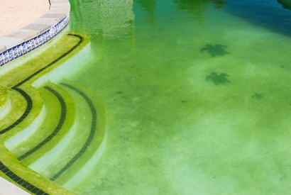 ¿Cómo eliminar el agua verde de la piscina?