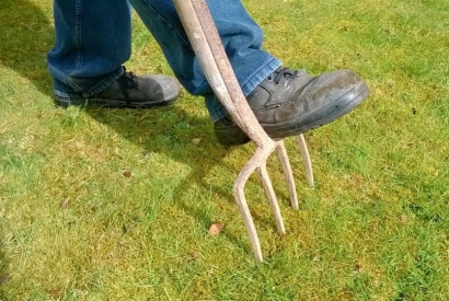 Preparar el jardín cara a primavera.